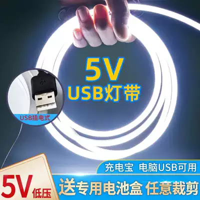 LED light strip usb rechargeable power supply 5v low voltage plug-in mobile rechargeable battery super bright soft unplugged light strip