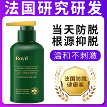royd ginger anti-hair loss shampoo for hair growth hair growth hair density oil control hair fixation hair loss serious special artifact for women