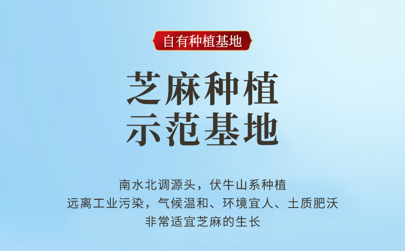 农家自榨正宗石磨香油1000毫升