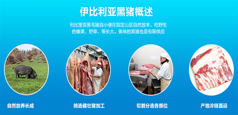伊比利亚进口 黑猪小排 精肋排 2斤 图2