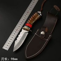Dao thép hoang dã Damascus dao ngoài trời hoang dã sống sót quân đội tự vệ dao sắc dao thẳng bộ sưu tập quà tặng cắt - Công cụ Knift / công cụ đa mục đích kim da nang