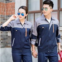 Тибетский голубой пепел