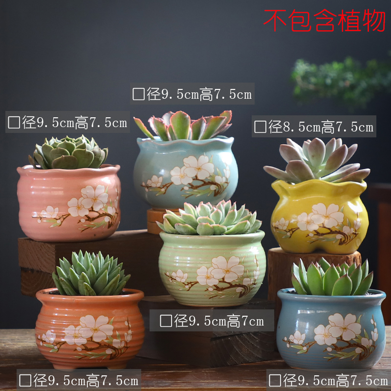 Fleshy flowerpot ceramic creative move meat meat plant kind contracted coarse pottery breathable special offer a clearance flowerpot