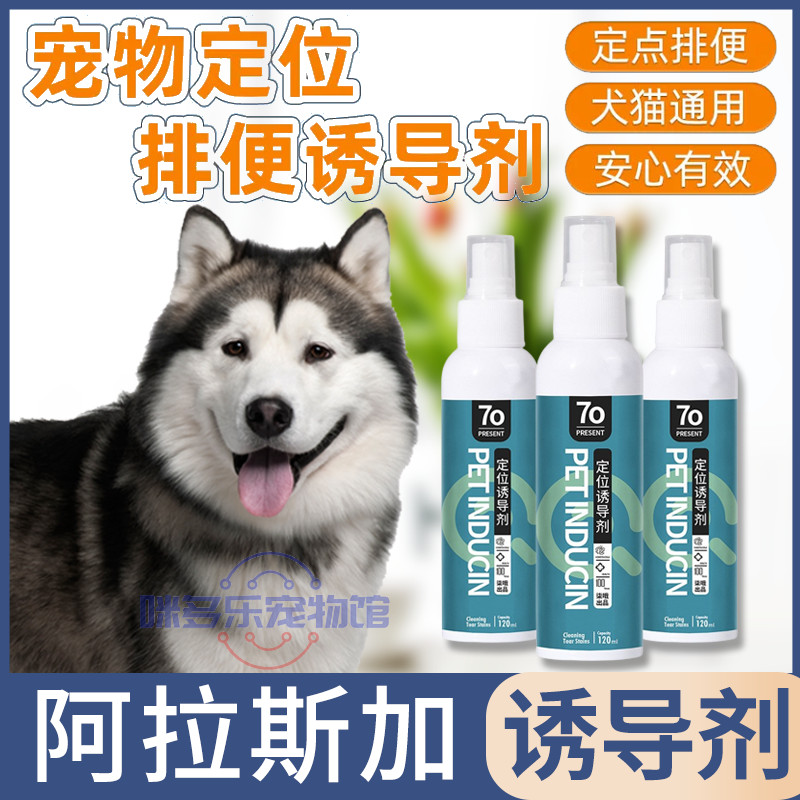 The targeted defecation-inducing agent used by a large dog pet dog in Alaska to boot up the toilet deity guide