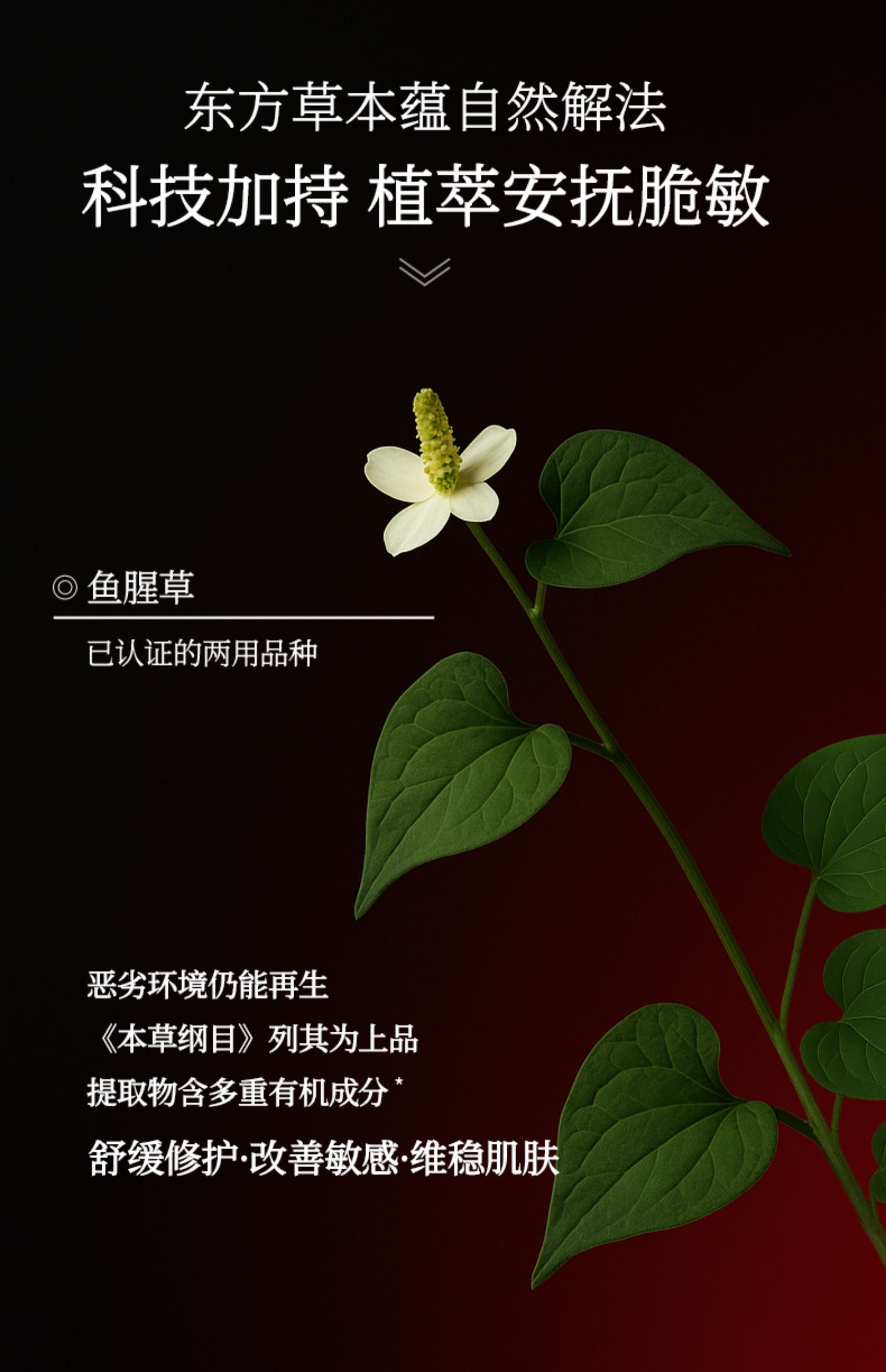 淮树鱼腥草润颜水100ml补水保湿舒缓敏感肌爽肤水官方旗舰正品