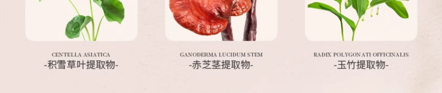 淮树鱼腥草润颜精华乳 补水舒缓修复敏感肌肤温和官方正品防伪码可查