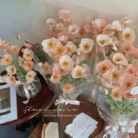 5 кораллов Юйрена