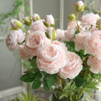 Дворец пион светло -розовый 5