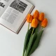 Тюльпаны 5 апельсин