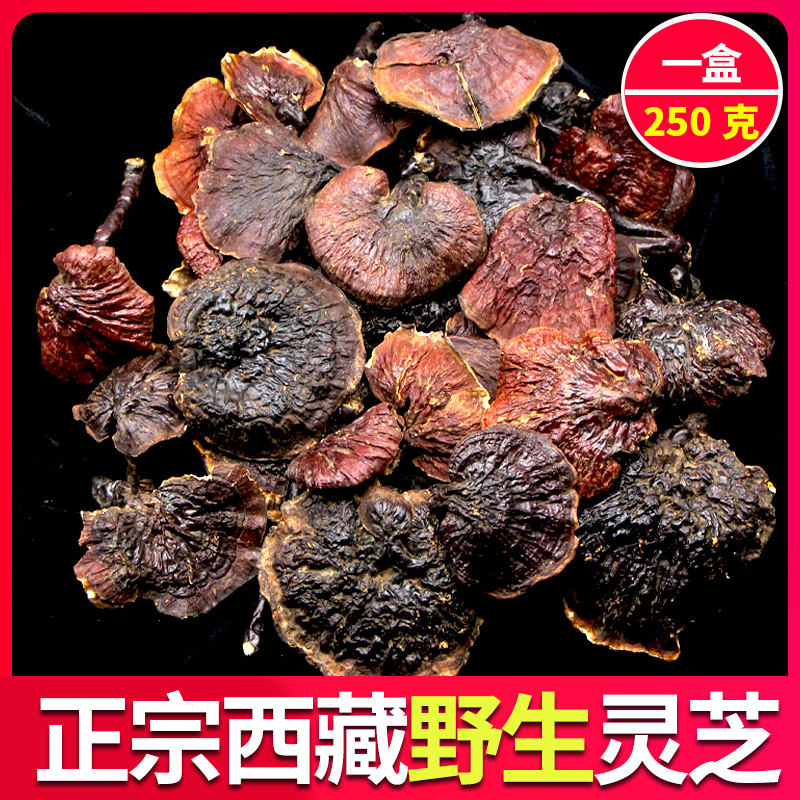 Wild Ganoderma lucidum Tibetan dried goods Nyingchi Red Phnom Penh non-spore powder pieces wild whole branch 250 g gift box