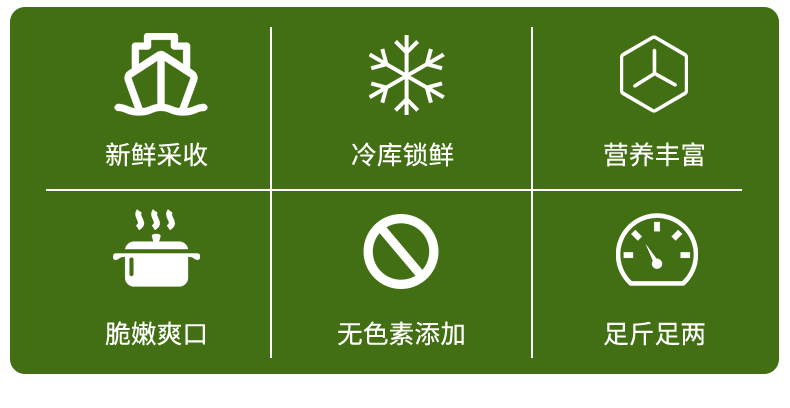 拍2件！霞浦海带头花边海带