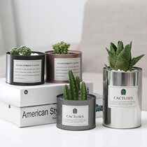 Ins plant cactus flower pot in metal tin fleshy flowerpot