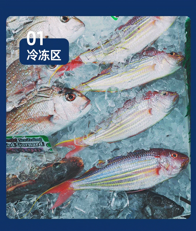 Meiling tủ lạnh ô tô ô tô tự lái cắm trại ngoài trời làm lạnh phân vùng đóng băng kép có thể kiểm soát nhiệt độ 12V24V120V tủ lạnh xiaomi mini