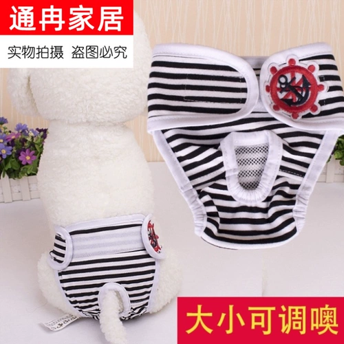 Тетя -нижнее белье Защита женского охлаждения любезно предоставлена ​​публичной собакой Тедди Стерилизация щенка Золотой ретривер