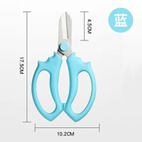 Сдвиг с голубым раундом.