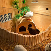 Luding Chicken Built View Rearing Box Decoration Items Complete Fencing Small Table Terrace Partition Solid Wood Small House Grass Nest