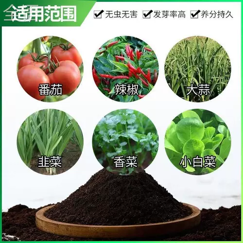 Балконы посадка овощей 100 кот пастырской почвы.