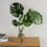 Стеклянный, 50-60см