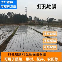 Perforated mulch Agricultural silver black and white film Perforated plastic film Vegetable insulation weeding film Cover planting water seepage