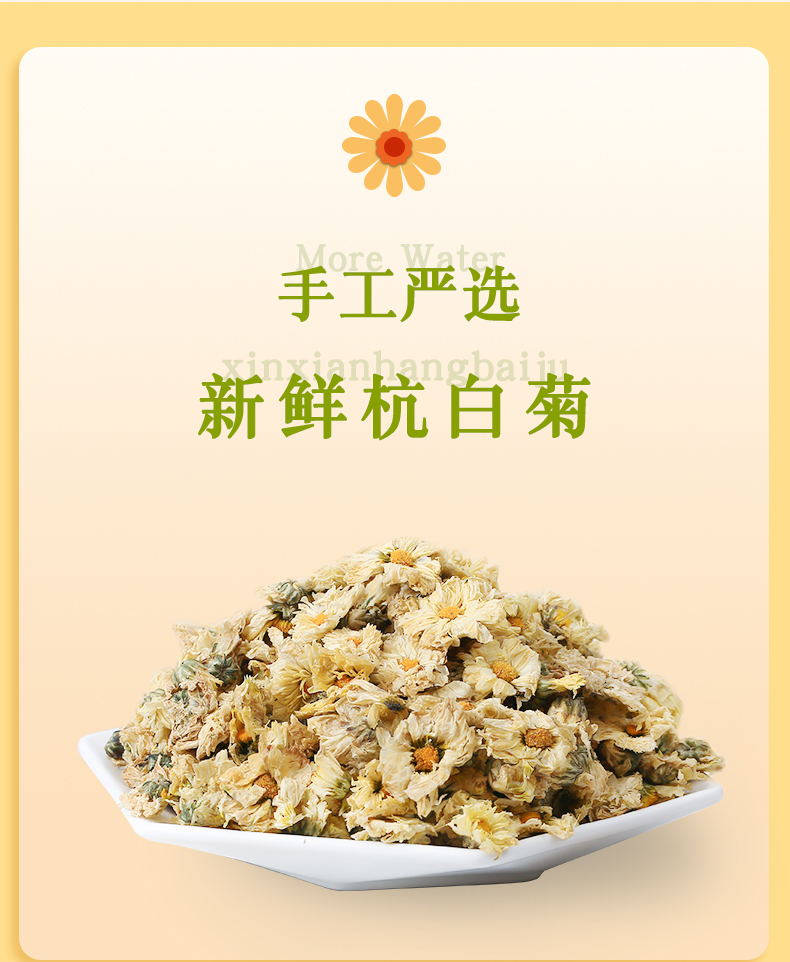 葛龙 特级野生杭白菊 20g 清热去火 图1