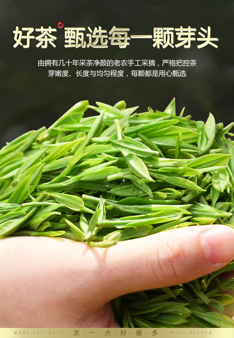 葛龙  高山云雾绿茶 500g 图3
