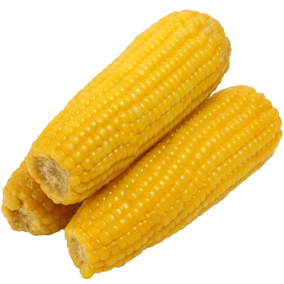 【230g*8根】东北宇千甜糯粘玉米棒