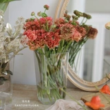 Акриловая пробуждение -Цветочная ствола цветочная ствола.