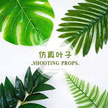 Simulation leaf photo props ins nail art food photography props Background swing shooting decoration shooting props