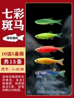 Разноцветная зебра, 10 шт, 5 шт