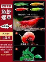 [Новое специальное предложение 5] Наблюдение за небольшим цилиндрическим пакетом для отправки водных растений+улиток