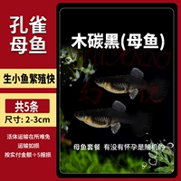 Уголь черный [женская рыба] 5 штук