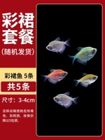 【3-4 см】 5 Цветовая юбка рыба