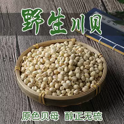 Sichuan specialty premium Sichuan scallop mother and mother Chinese herbal medicine Pure wild Sichuan scallop mother and mother powder Holding the moon in your arms can be ground