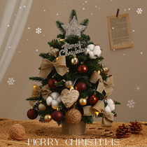 Christmas tree home 2024 new Christmas lights layout desktop ins style decorations diy small ornaments package