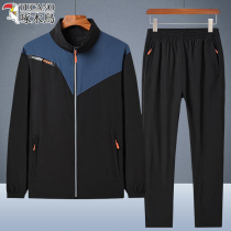 Woodpecker Sports Suit Mens Autumn Outdoor Leisure Running Suit Mens Large Size Stand Collar Breathable Two-piece Set