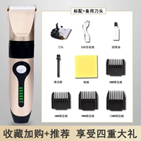 Местный номер золота на местном тиране, показывающий+запасной головку ножа (выбор 45%)