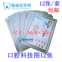 Dental clinic wall chart set of 12 Stomatological posters dental clinic decoration poster doctor-patient communication map
