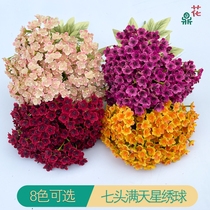 Seven-headed gypsophila hydrangea colorful plastic gypsophila wedding flower row base silk flowers welcome road guide fake flowers