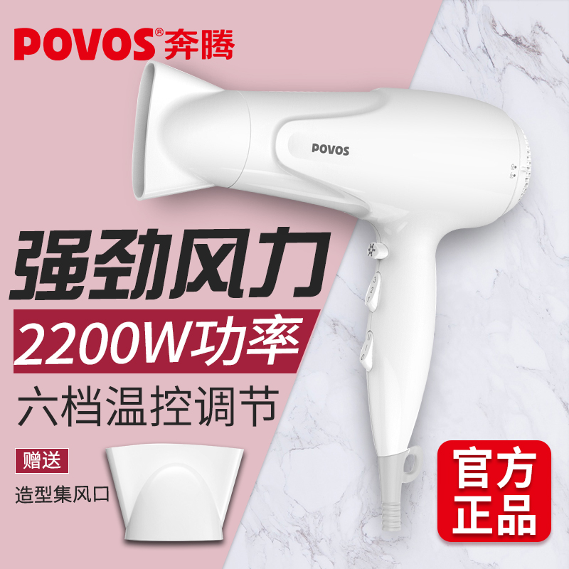 ペンティアムヘアドライヤーネットセレブスタイル家庭用理髪店高出力ヘアドライヤー学生寮ヘアサロン特殊ヘアドライヤー