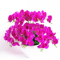 14 Форк Пу пурпур + керамический бассейн