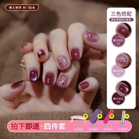 Purple Moon Plouct Light- (отдайте набор ногтей 4-частей)