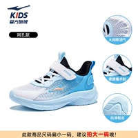 Erke White/Pool Blue 013 [Модель с крупной сеткой] [Размер слишком мал, рекомендуется увеличить его на один размер]