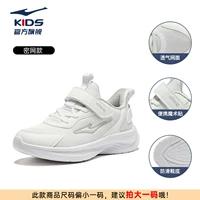 【Four Seasons Secret Net Style】 Rockbai 005