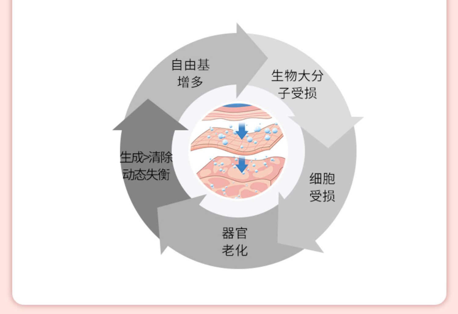 Fight On每日完胜蓝莓原浆果蔬代餐