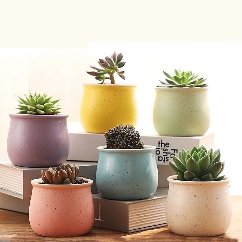 Net red succulent flowerpot plants rough pottery ceramic green plants small potted master old pile creative exquisite small flowerpot