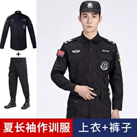 Летний лонгслив, куртка, штаны