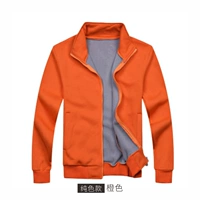 Чистый цвет/апельсин