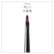 P011 Xiaoyuan Pen