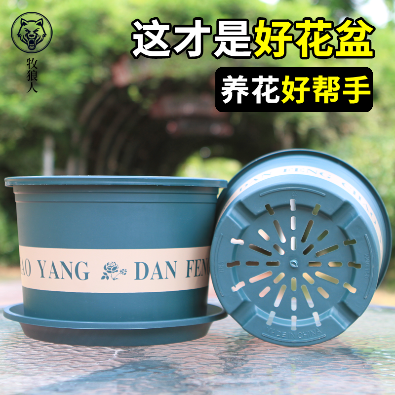 The new chunky gallon flowerpot second-generation green radish rose succulent large-caliber thickened plastic third-generation root-controlling round flowerpot