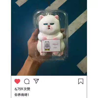 Genuine vivicat cat plush doll small pendant carrying bag jewelry ins female cute keychain net red doll